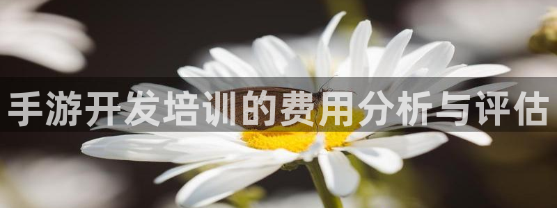 最新28大神预测：手游开发培训的费用分析与评估