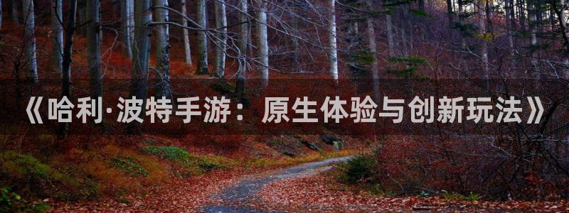 大神pc28开奖查询