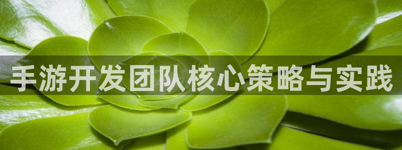 火狐电竞计划：手游开发团队核心策略与实践