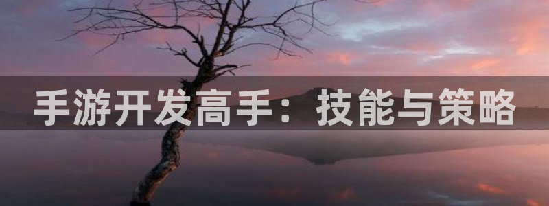 28大神免费预测：手游开发高手：技能与策略