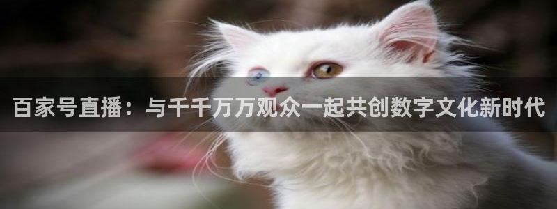 wqzb玩球直播：百家号直播：与千千万万观众一起共创数字文化新时代