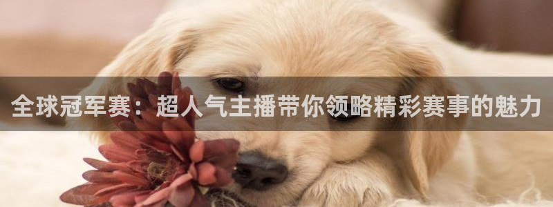 玩球免费直播：全球冠军赛：超人气主播带你领略精彩赛事的魅力