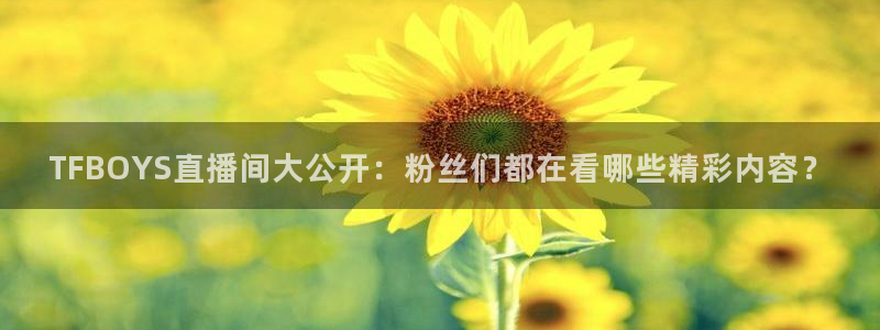 360玩球直播