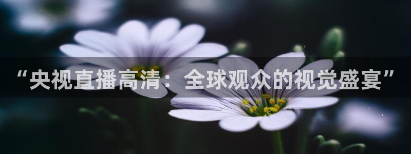 玩球直播下载：“央视直播高清：全球观众的视觉盛宴”